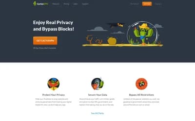 CactusVPN website screenshot