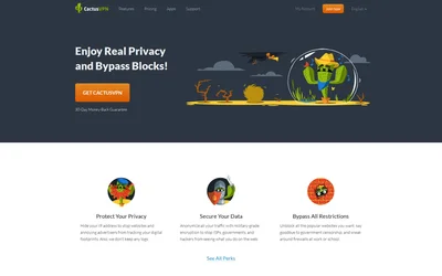 CactusVPN website screenshot
