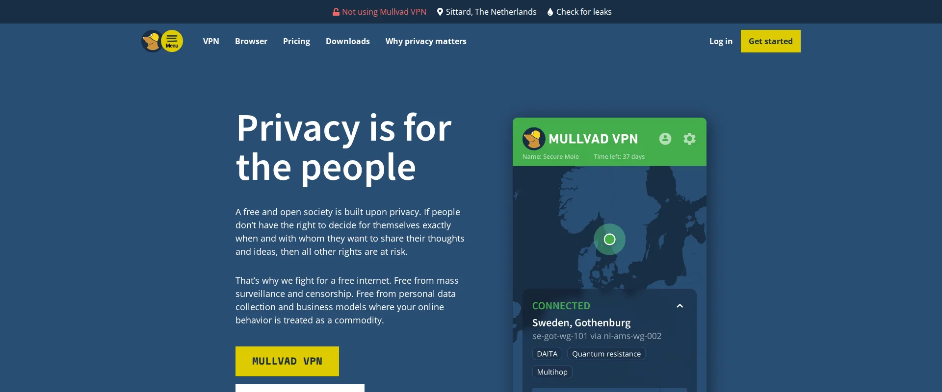 Mullvad VPN website screenshot